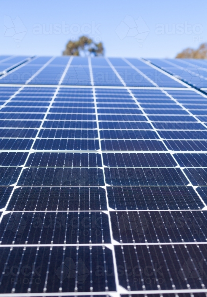 Rows of blue solar panels up to sky on roof of home - Australian Stock Image