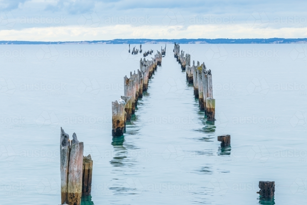 Rows of old jetty pylons in calm water disappearing towards the horizon - Australian Stock Image