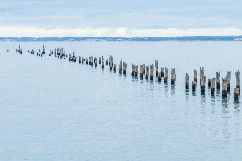 Rows of old jetty pylons in calm water disappearing towards the horizon - Australian Stock Image