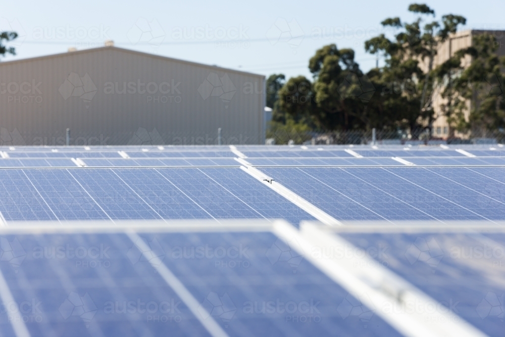 Rows of solar panels at a solar panel plant - Australian Stock Image