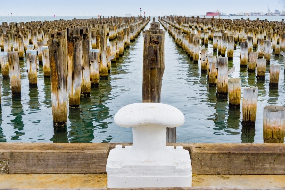 Rows of weathered jetty pylons sitting in a calm sea. - Australian Stock Image