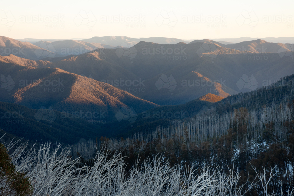 Rugged mountain view from Mt Buller at sunset - Australian Stock Image