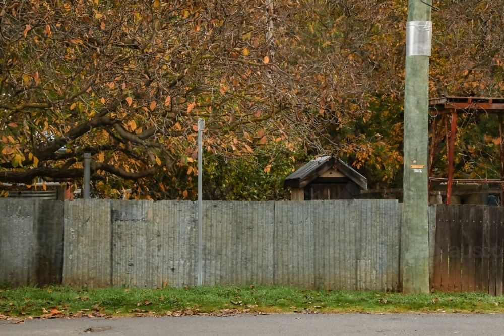 Rural country Australian scene. Outdoor dunny visible over tin fence - Australian Stock Image