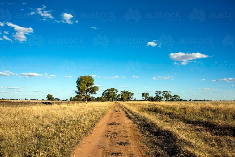 Rural dirt road surrounded by dry grass - Australian Stock Image