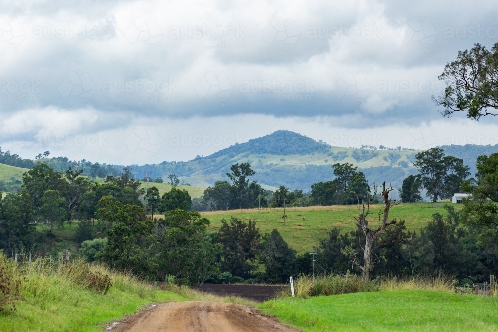 Rural dirt road through green hills on cloudy morning - Australian Stock Image