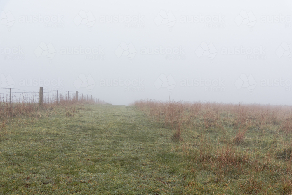 Rural grassy hill in the winter mist with fence - Australian Stock Image