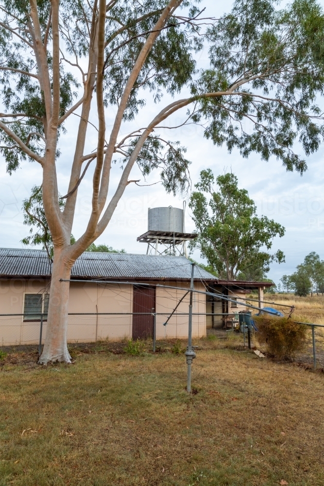 Rural homestead scene, with rain tank, gumtree, clothesline, and shed - Australian Stock Image