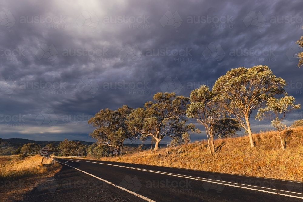 Rural road lined with gum trees on cloudy day - Australian Stock Image