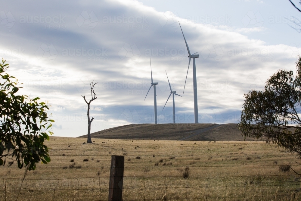 Rural Wind Turbines in a farm setting - Australian Stock Image