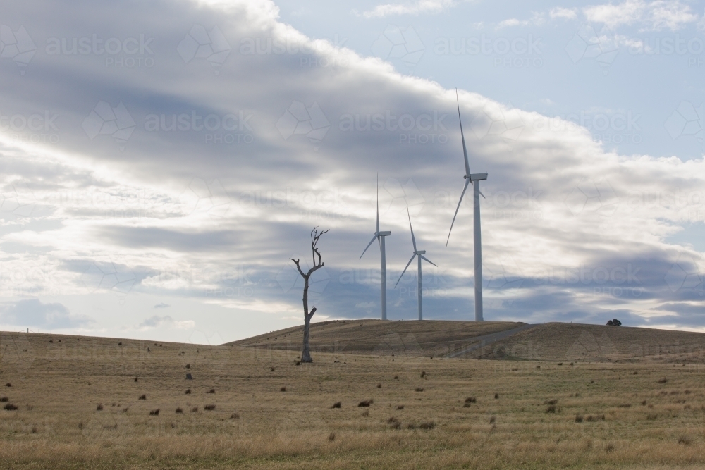 Rural Wind Turbines in a farm setting - Australian Stock Image