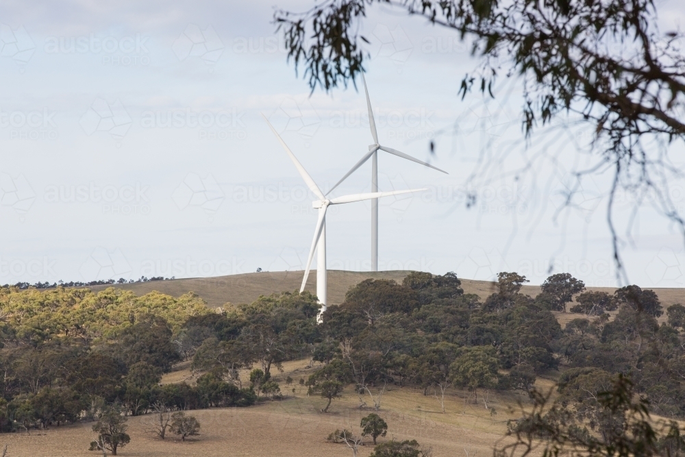 Rural Wind Turbines in a farm setting - Australian Stock Image