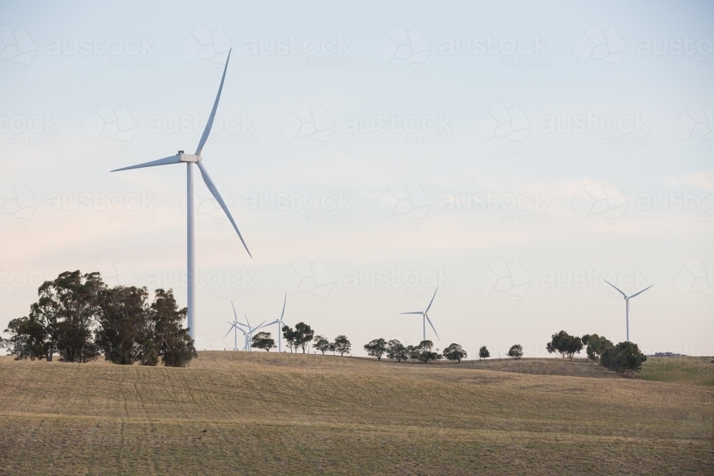 Rural Wind Turbines in a farm setting with evening sunlight across the paddocks - Australian Stock Image