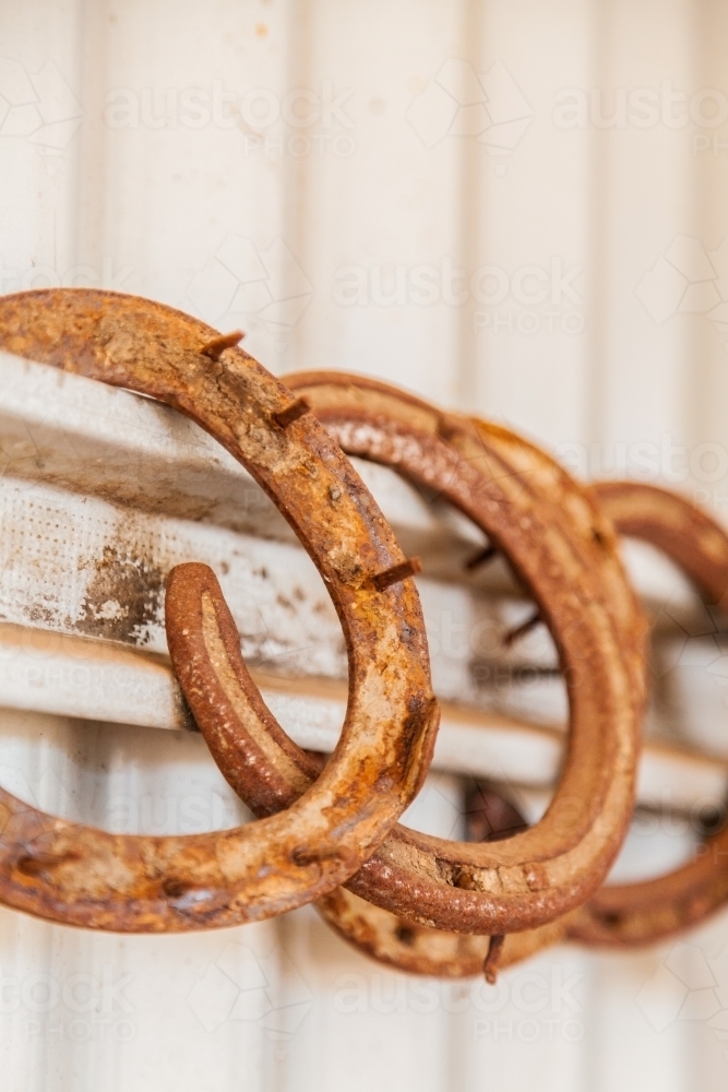 Rusted old horse shoes on shed wall - Australian Stock Image