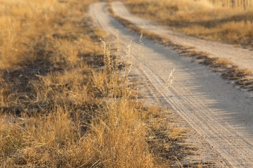 Sandy track through dry grass - Australian Stock Image