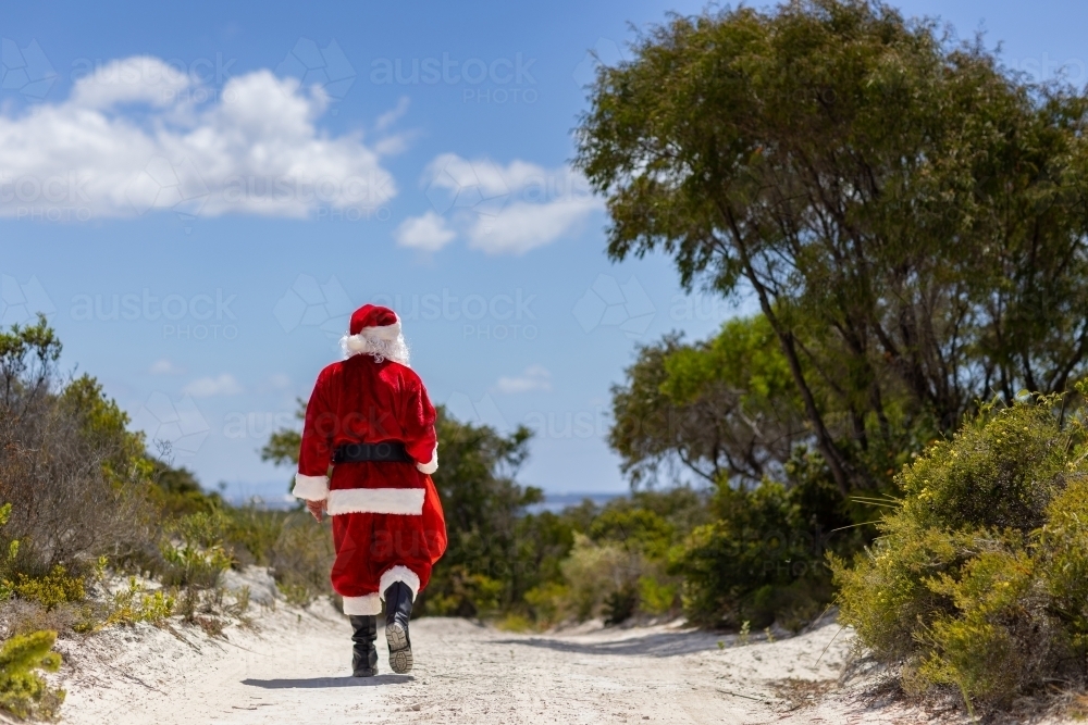 Santa walking away down a track on a coastal block with bush lining the sides of the track - Australian Stock Image