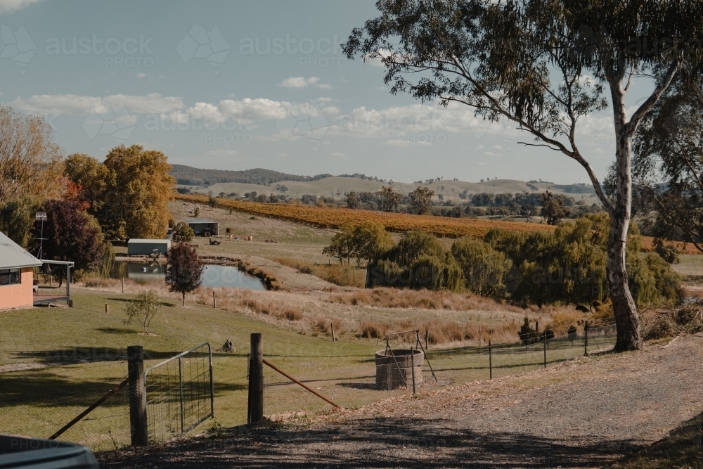 Scenic Australian countryside at a winery in the Snowy Mountains Region - Australian Stock Image