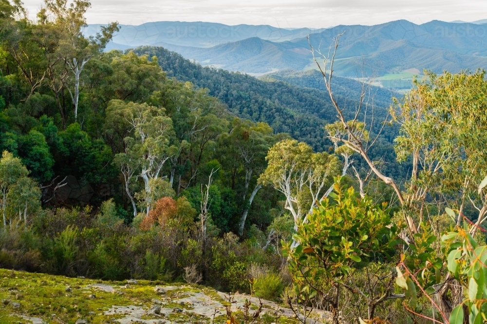 scenic landscape of Australian Alps - Australian Stock Image