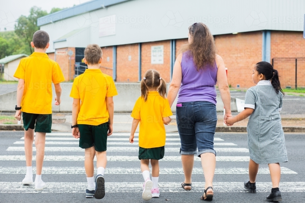 School mum walking across pedestrian crossing with kids on an excursion - Australian Stock Image