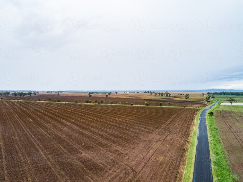 Sealed country road through brown ploughed farmland - Australian Stock Image