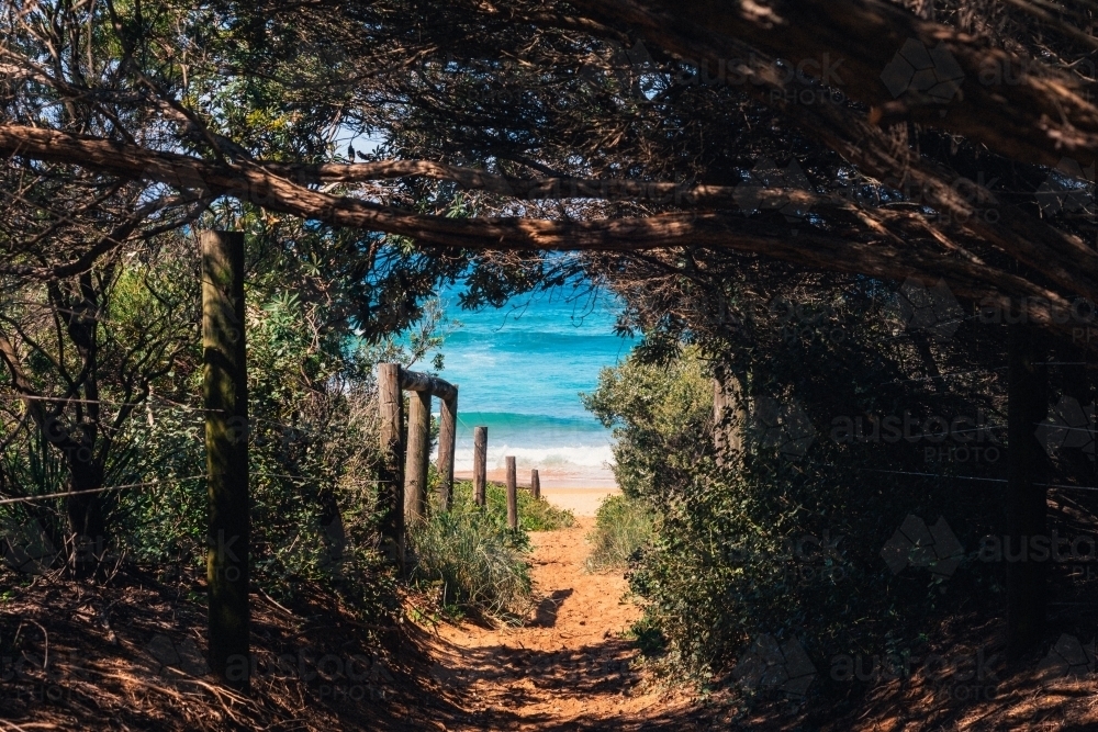 secret pathway to the beach, secret location available upon request - Australian Stock Image