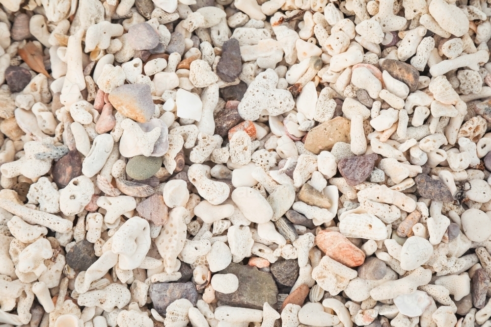 Section of coral covered beach close up - Australian Stock Image