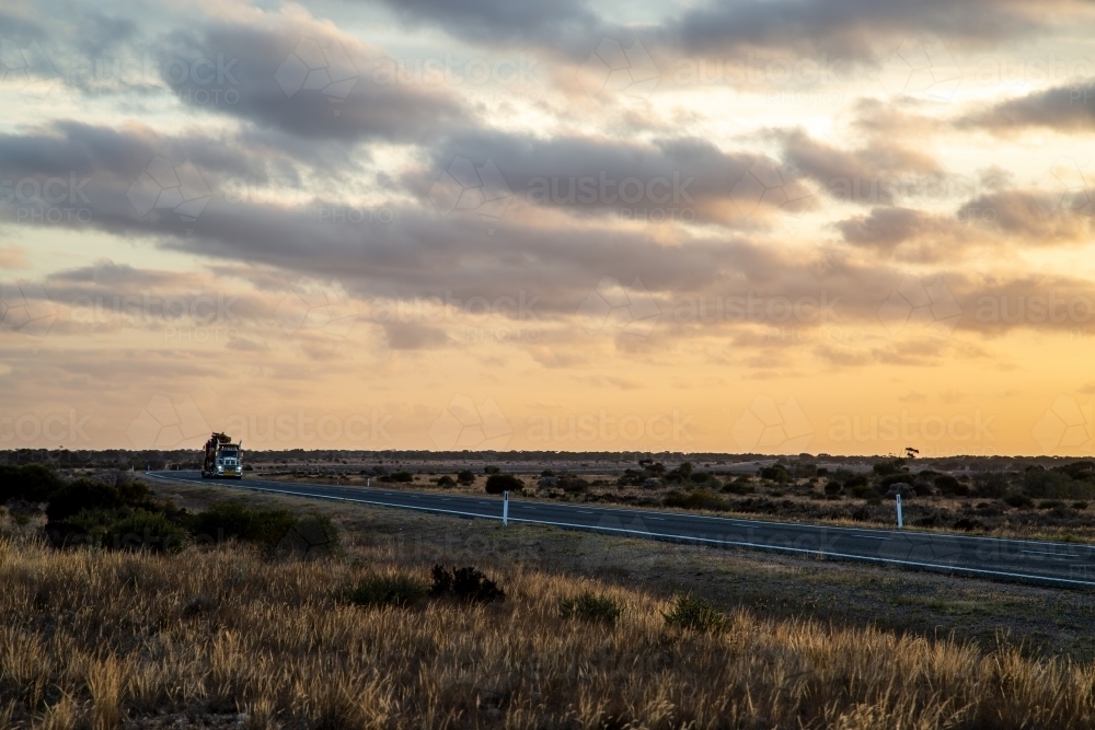 Image of Semi trailer truck driving at dusk on Eyre Highway along the ...