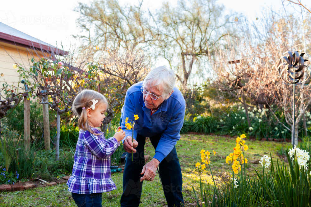 Senior woman with her granddaughter in the garden - Australian Stock Image