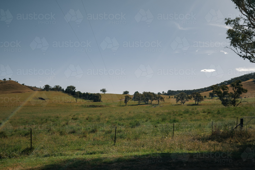 Serene rural landscape with rolling hills, blue sky, and trees in green pasture - Australian Stock Image