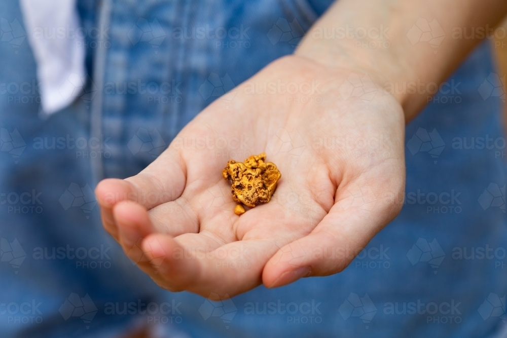 several small gold nuggets held in the hands of a girl - Australian Stock Image