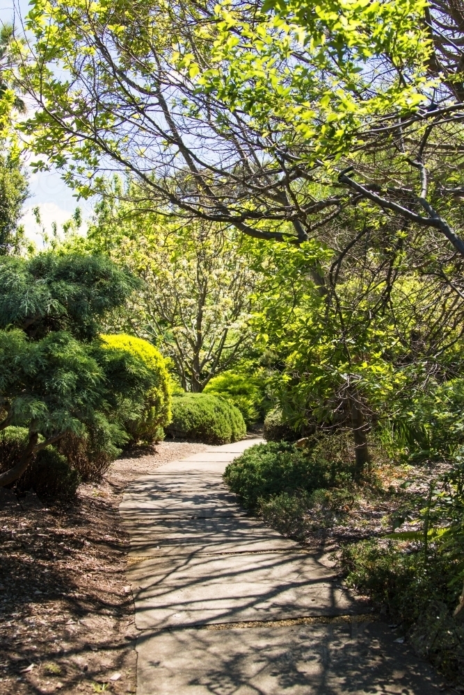 Shady path winding through a garden - Australian Stock Image