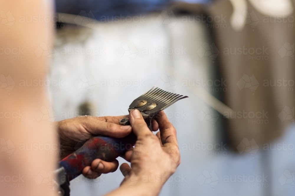 shearer's dirty hands adjusting comb and cutter on handpiece - Australian Stock Image