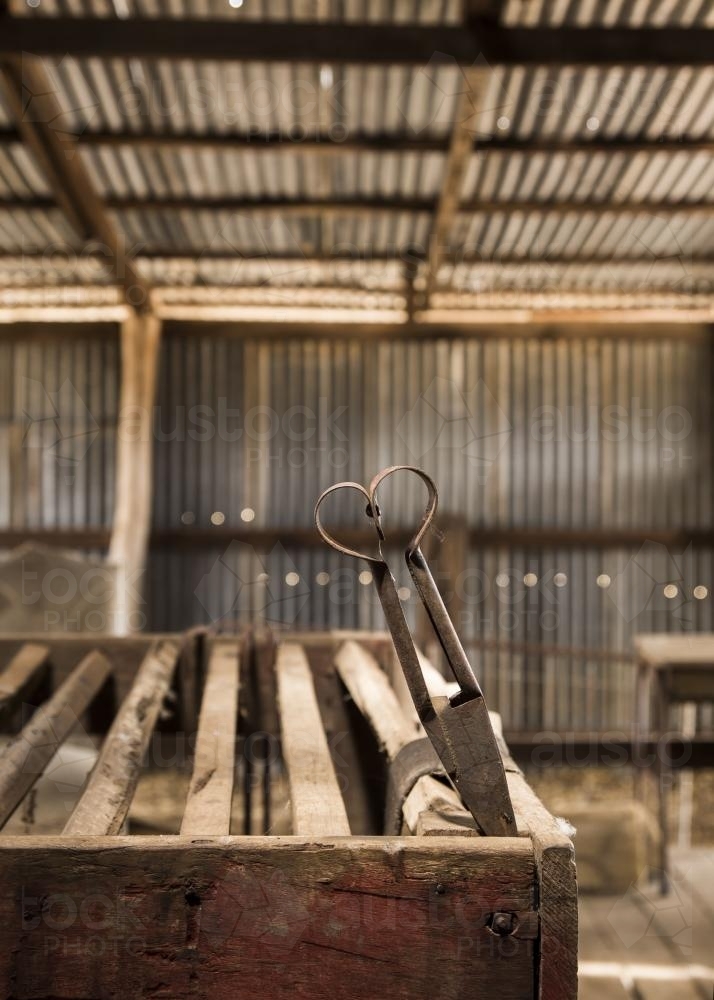 Shears in a shearing shed. - Australian Stock Image