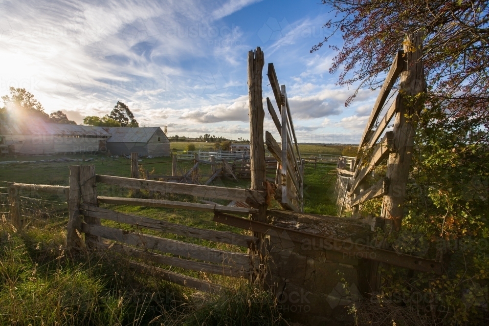 Sheep run and farm in late afternoon light - Australian Stock Image