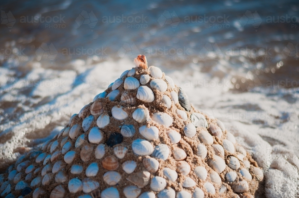 Shell Sculpture, Brighton Beach, Melbourne - Australian Stock Image