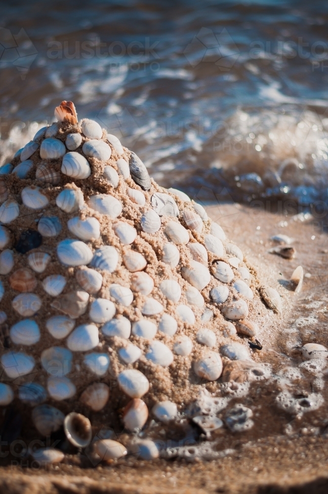 Shell Sculpture, Brighton Beach, Melbourne - Australian Stock Image