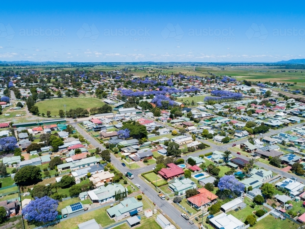 Showground arena in country town in NSW during jacaranda season - Australian Stock Image