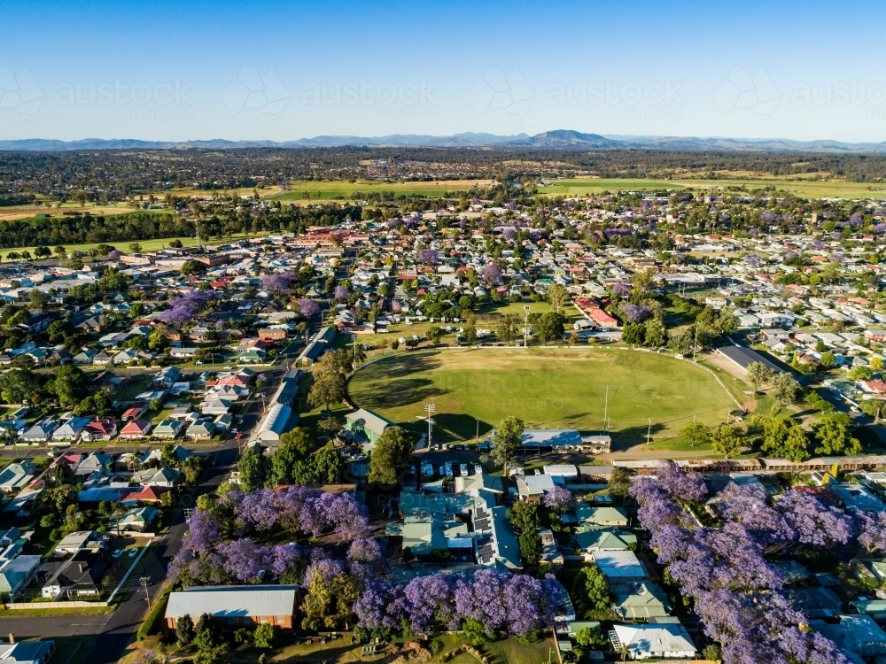 showground in country town of singleton during jacaranda season in november - Australian Stock Image