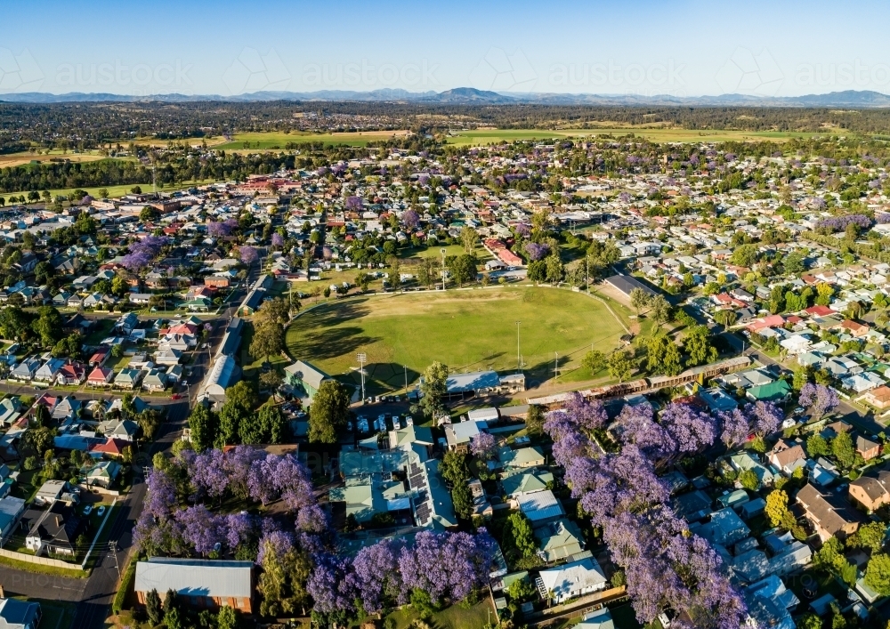 showground in country town of singleton during jacaranda season in november - Australian Stock Image