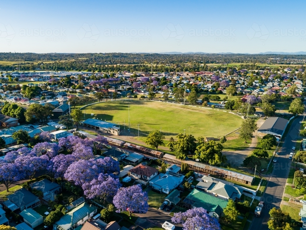 showground in country town of singleton during jacaranda season in november - Australian Stock Image