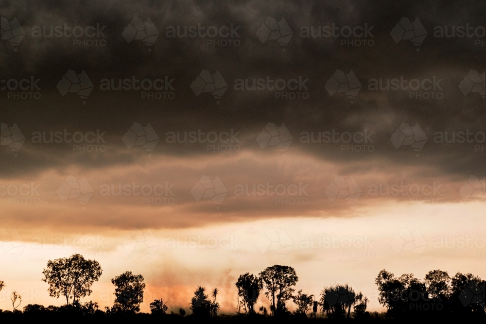 Silhouette of trees under the dark stormy skies bushfire smoke in sky - Australian Stock Image