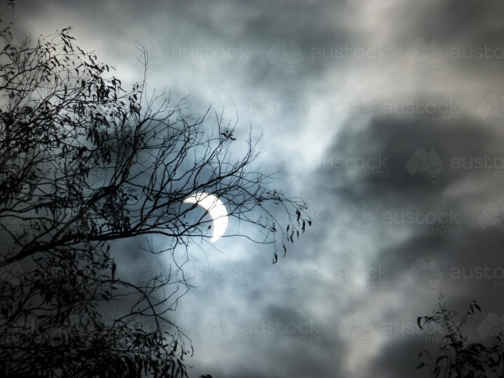 Silhouette tree branches, a cloudy sky and a crescent moon - Australian Stock Image