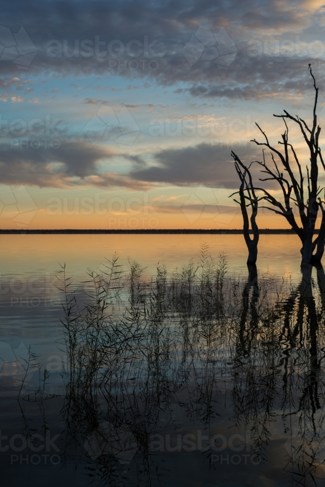 Silhouette trees on lake river at sunrise - Australian Stock Image