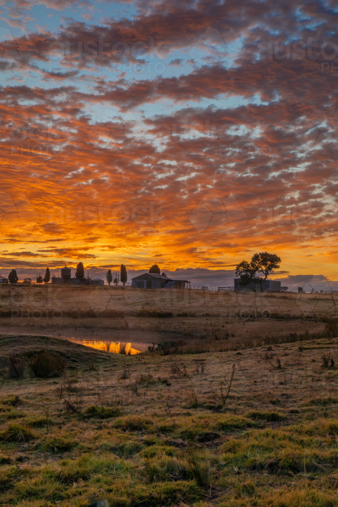 Silhouettes of a building and trees under an orange dawn sky - Australian Stock Image