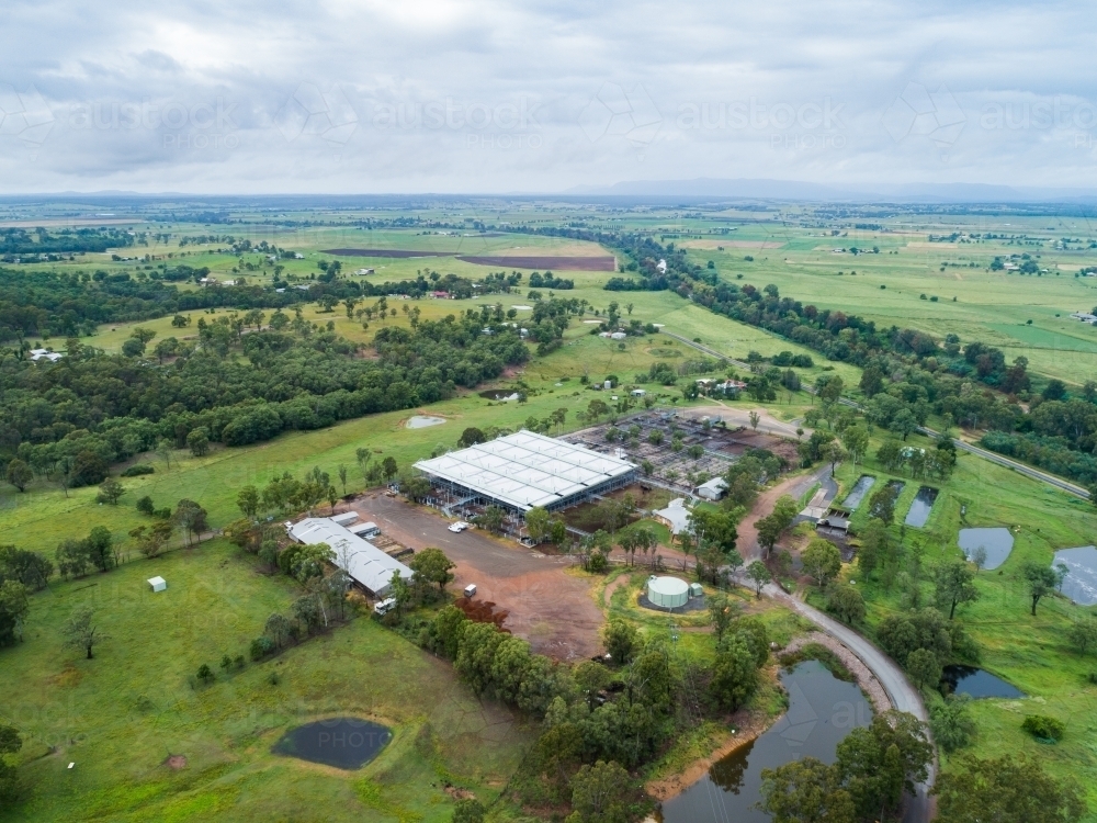 Singleton cattle yards livestock trading markets aerial photo - Australian Stock Image