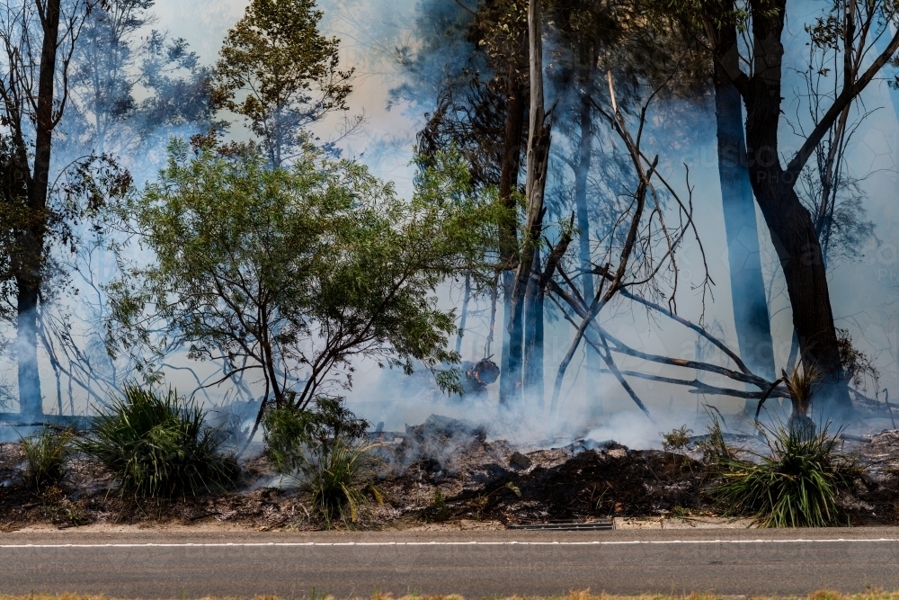 small bushfire - Australian Stock Image