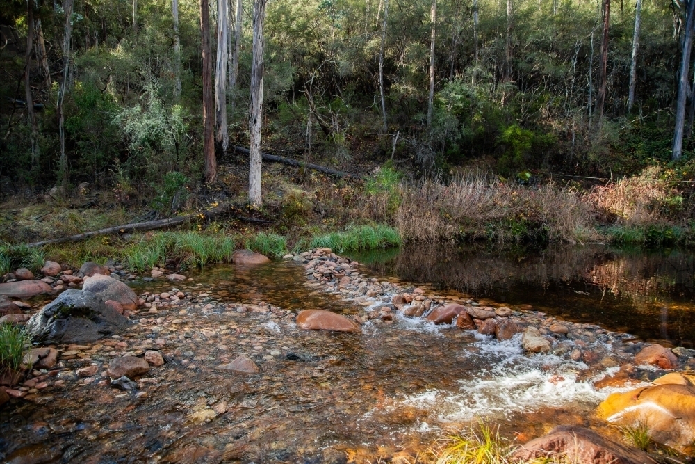 Image of small rock dam in mountain creek - Austockphoto