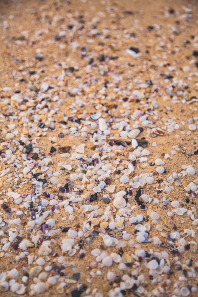 Small shells, rocks and sand on the beach - Australian Stock Image