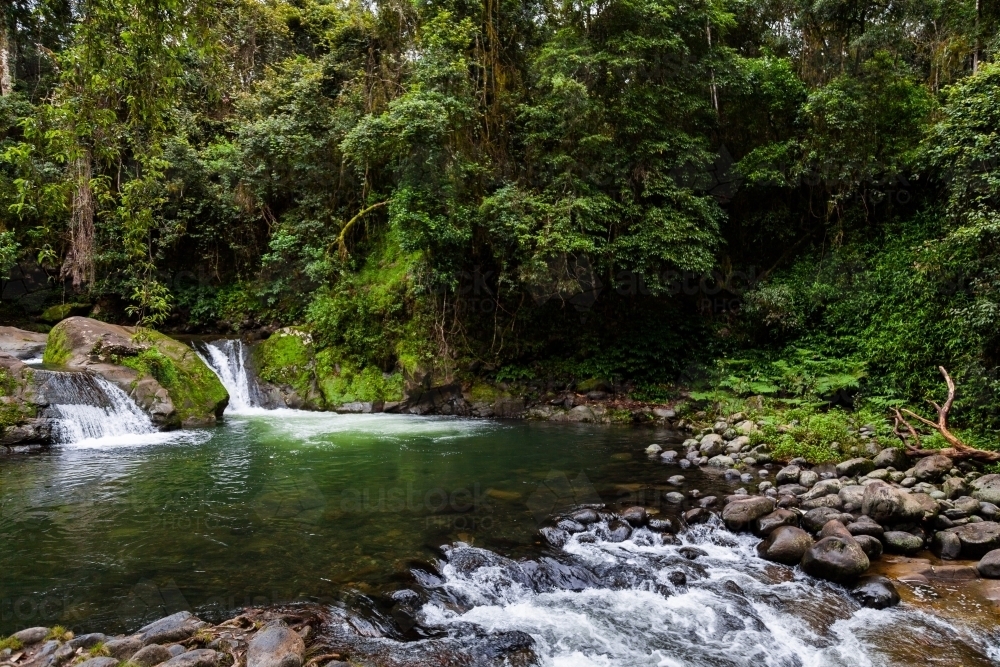 Small waterfall into tranquil green pool on Allyn River - Australian Stock Image