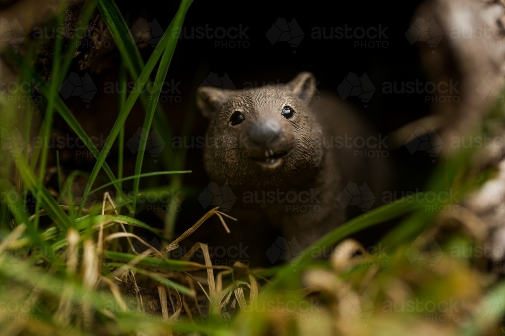 Small wombat figurine on forest floor - Australian Stock Image