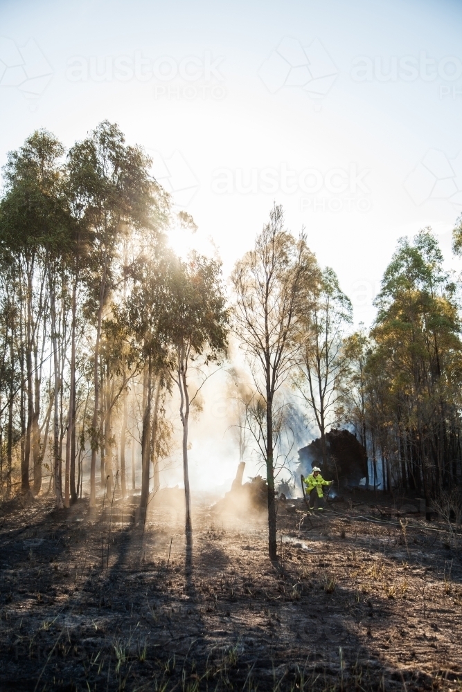 Smoke and ash in air around trees at scene of bushfire - Australian Stock Image